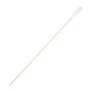 2937.jpg